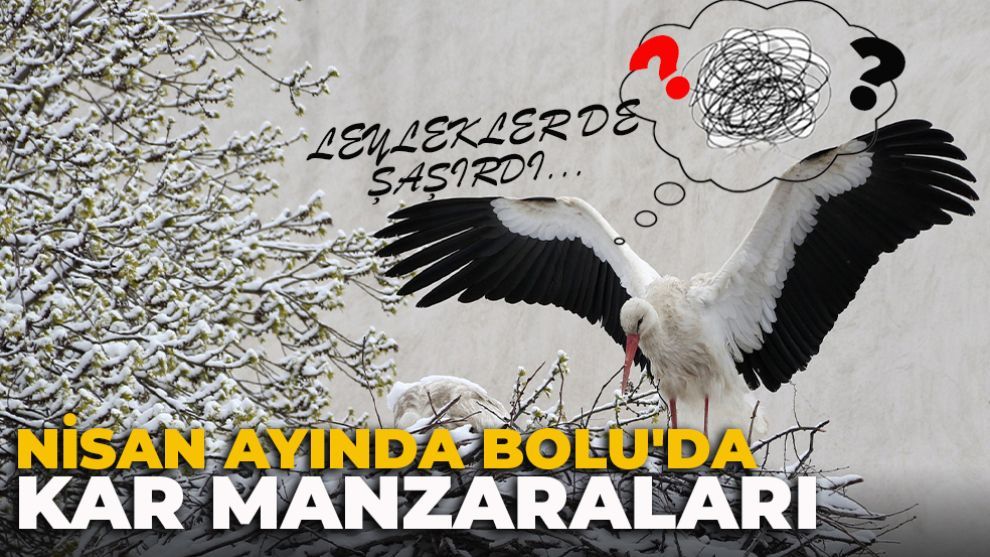 LEYLEKLER DE ŞAŞIRDI...KAR EN FAZLA BU ŞEHRE YAKIŞIYOR...NİSAN AYINDA BOLU'DA KAR MANZARALARI