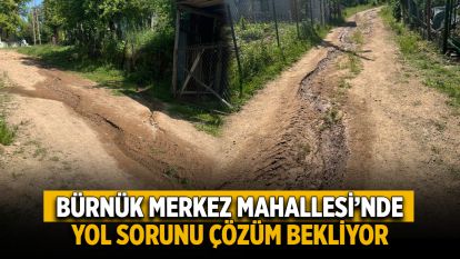 Bürnük Merkez Mahallesi'nde Yol Sorunu Çözüm Bekliyor