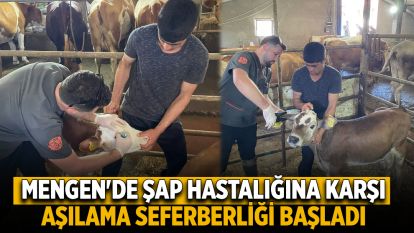 Mengen'de şap hastalığına karşı aşılama seferberliği başladı