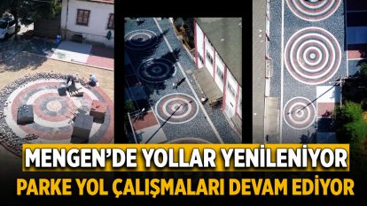 Mengen'de Parke Yol Çalışmaları Devam Ediyor