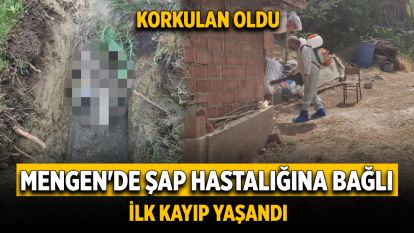 Mengen'de şap hastalığına bağlı ilk kayıp yaşandı