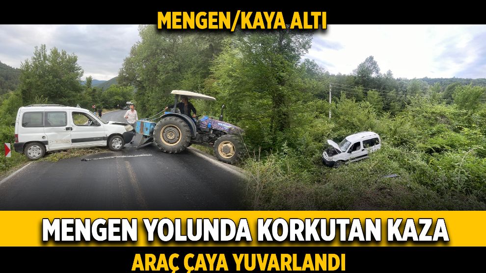 Mengen Yolunda Korkutan Kaza: Araç Çaya Yuvarlandı