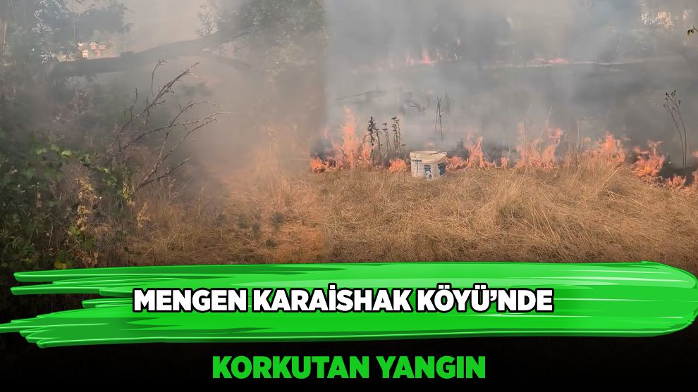 Mengen Karaishak Köyü'nde Korkutan Yangın
