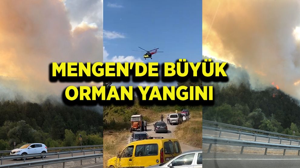 Mengen'de Çok Büyük Orman Yangını Başladı
