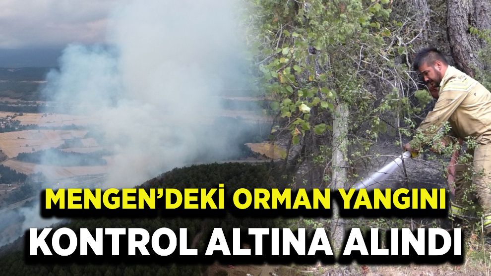 Mengen'deki Orman Yangını Kontrol altına Alındı