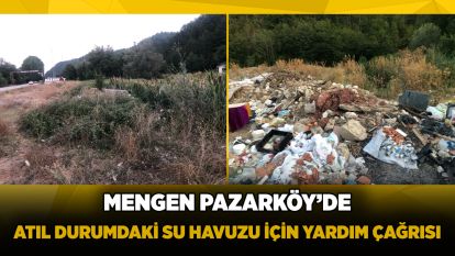 Mengen Pazarköy'de Atıl Durumdaki Su Havuzu İçin Yardım Çağrısı