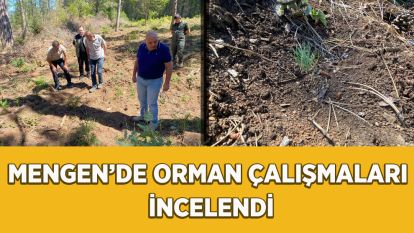 Mengen'de orman çalışmaları incelendi