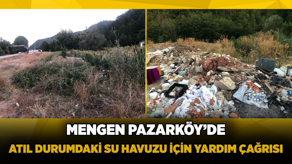 Mengen Pazarköy'de Atıl Durumdaki Su Havuzu İçin Yardım Çağrısı