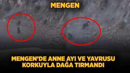 Mengende anne ayı ve yavrusu korkuyla dağa tırmandı, o anlar kamerada