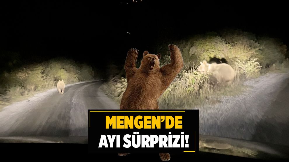 Mengen Kayabaşı'nda Ayı Sürprizi!