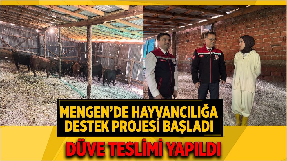 Mengen'de hayvancılığa destek projesi başladı