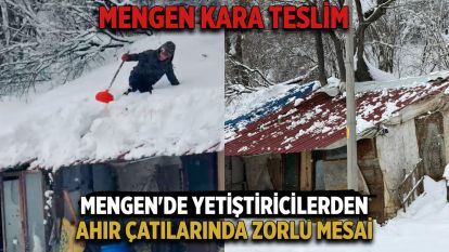 Mengen'de Yetiştiricilerden Ahır Çatılarında Zorlu Mesai
