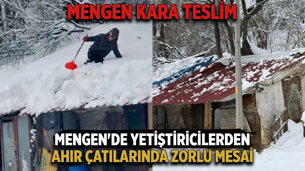 Mengen'de Yetiştiricilerden Ahır Çatılarında Zorlu Mesai